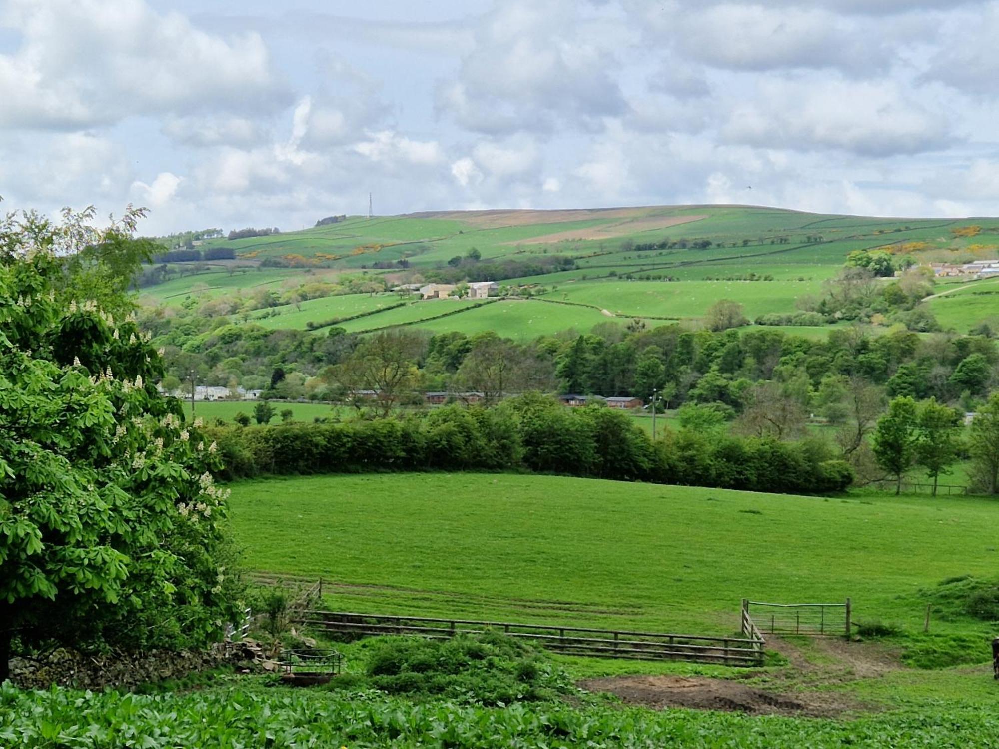 The Den, Coves House Villa Wolsingham Exterior photo