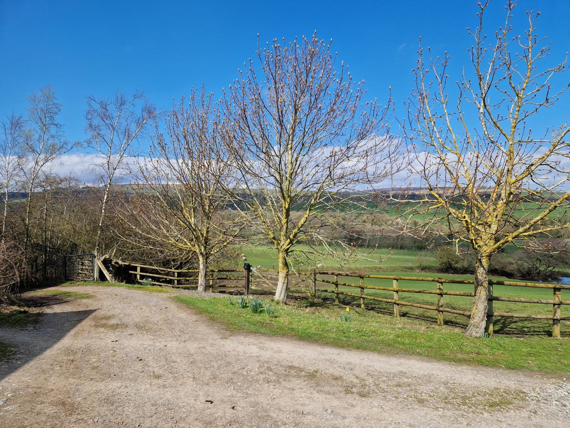 The Den, Coves House Villa Wolsingham Exterior photo